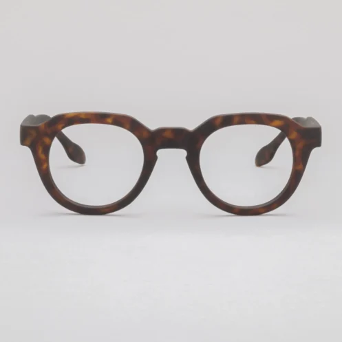 Stylish Reader Glasses