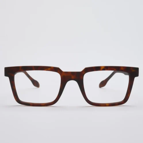 YESSIR Matt Tortoise Ready Readers