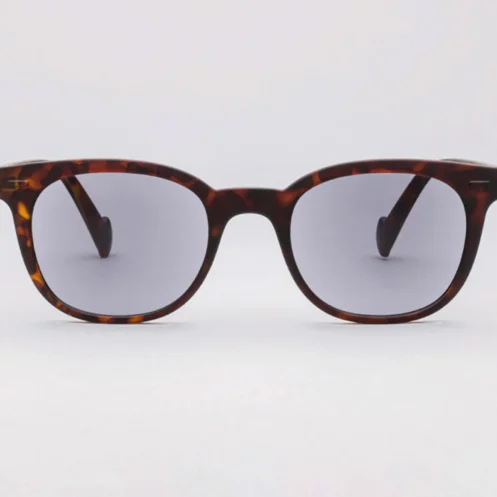 Tortoise Sun Readers POP